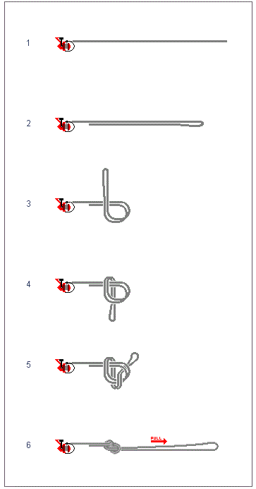 monturi crap - nod-drop-loop.gif